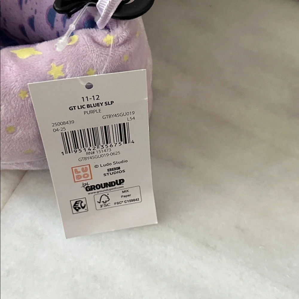 Bluey Toddler Girl Glow in The Dark Slipper Size 11-12